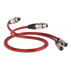 QED REFERENCE Stereo cable [ 2x XLR - 2 x XLR]